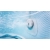 Basen SPA Jacuzzzi Hydromasaż MSPA Tidal TD066WE 6 osób